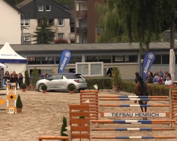 Großes Springturnier Siegener Reitverein 2013