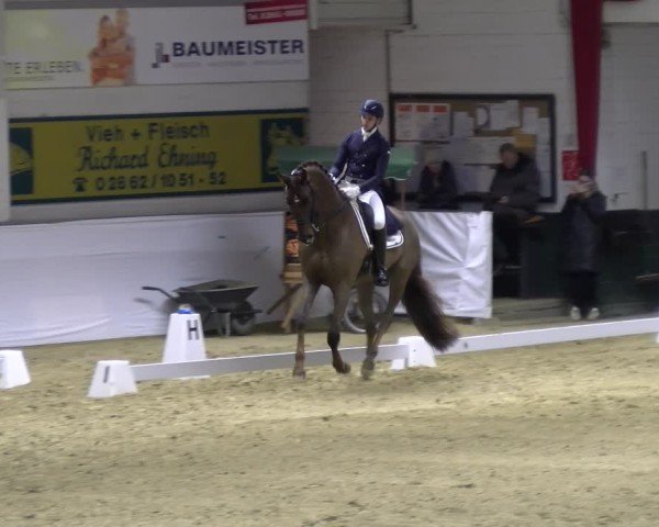 Reitturnier Borken 2025