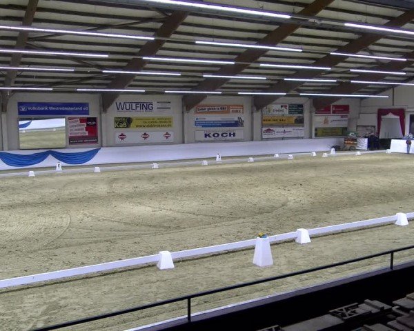 Reitturnier Borken 2025