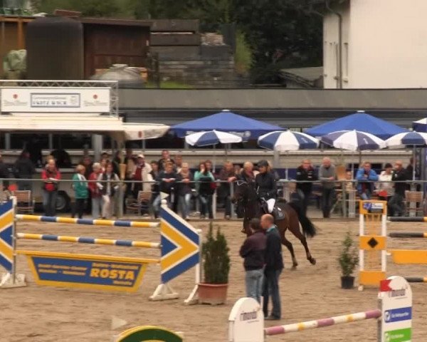 Großes Springturnier Siegener Reitverein 2013