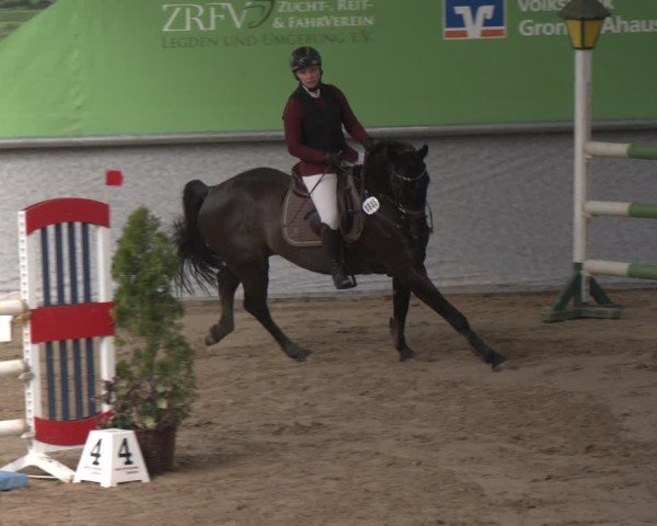 Reitturnier Legden 2025