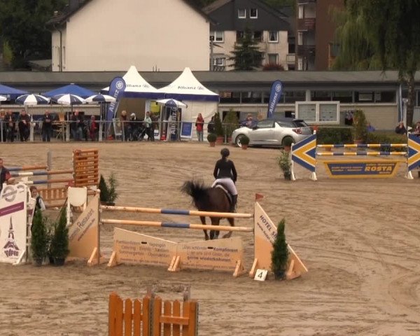 Großes Springturnier Siegener Reitverein 2013