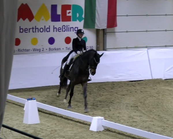 Reitturnier Borken 2025