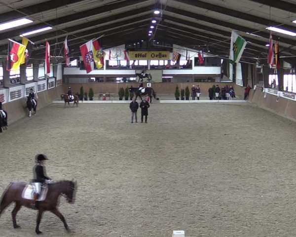 Reitturnier Oelde-Geisterholz 2025