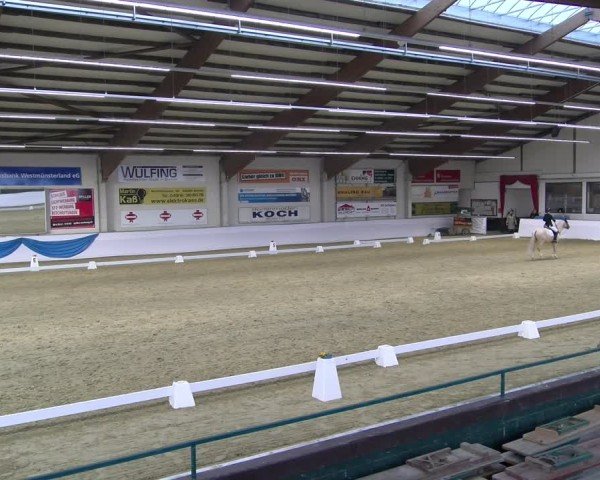 Reitturnier Borken 2025