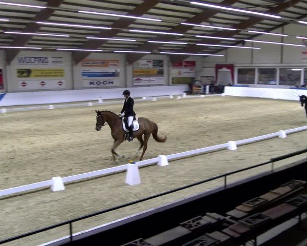 Reitturnier Borken 2025