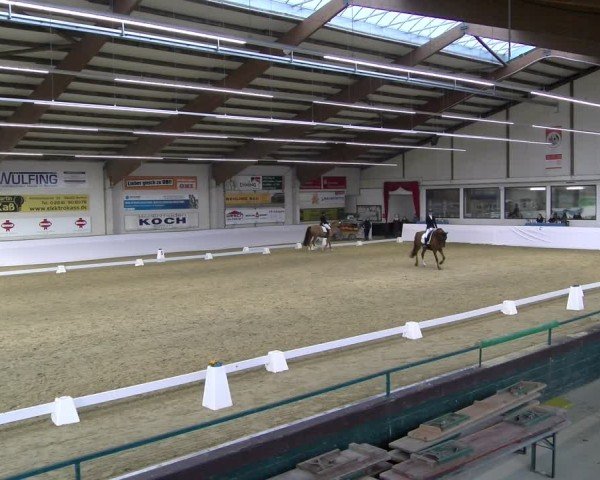 Reitturnier Borken 2025