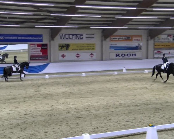 Reitturnier Borken 2025