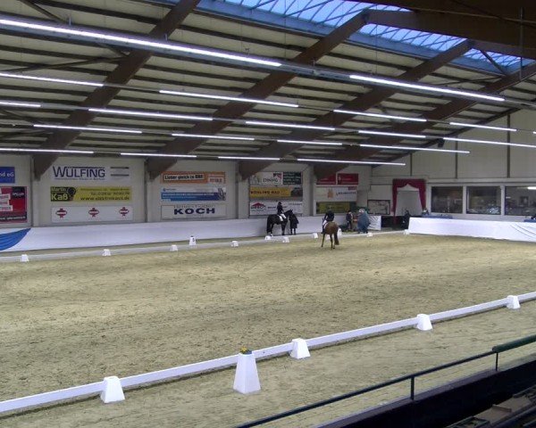Reitturnier Borken 2025