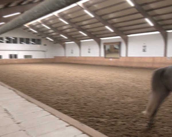 Reitturnier Olfen-Vinnum 2025