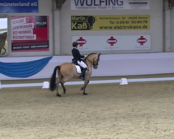 Reitturnier Borken 2025