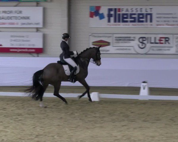 Reitturnier Borken 2025