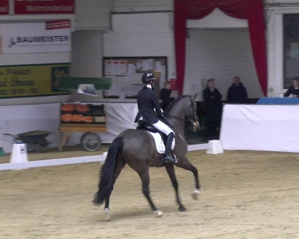 Reitturnier Borken 2025