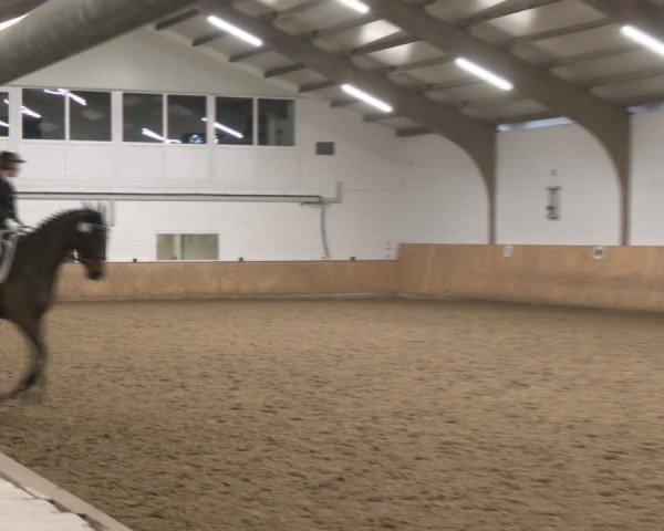 Reitturnier Olfen-Vinnum 2025