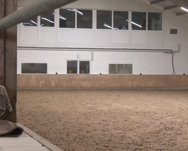 Reitturnier Olfen-Vinnum 2025