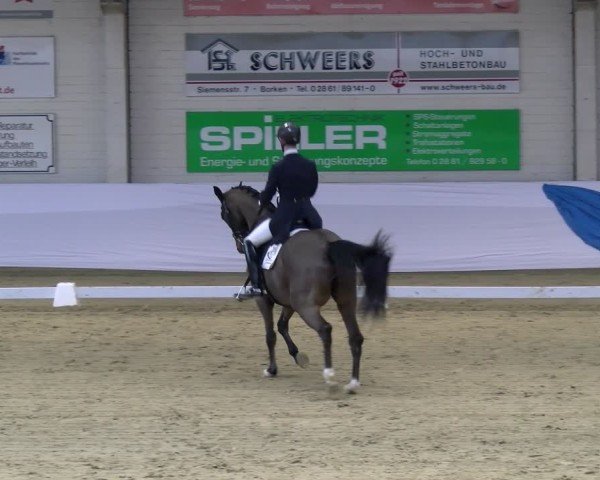 Reitturnier Borken 2025