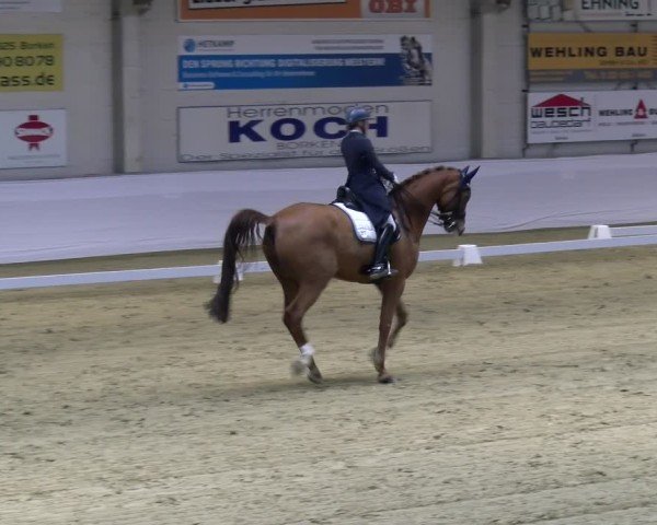 Reitturnier Borken 2025