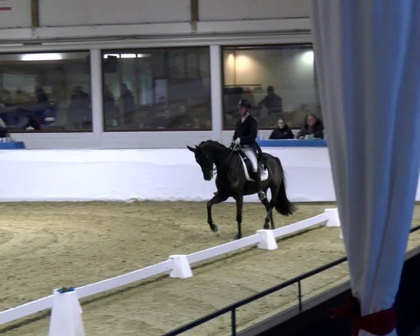 Reitturnier Borken 2025