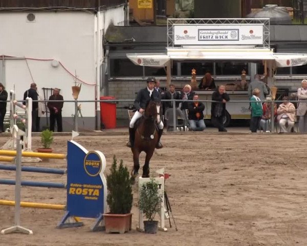 Großes Springturnier Siegener Reitverein 2013