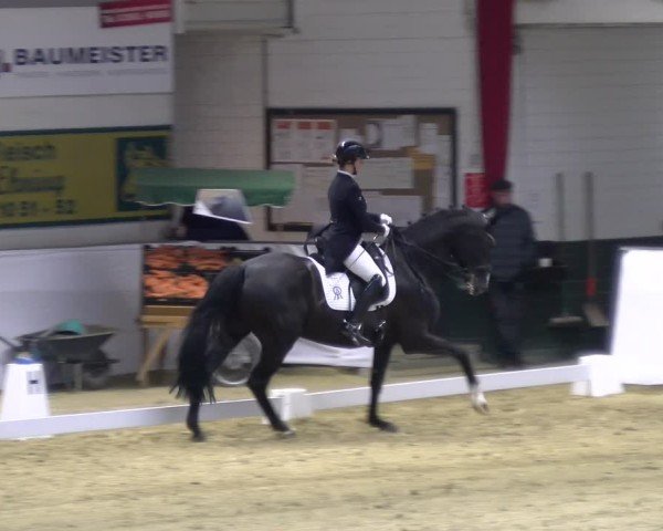 Reitturnier Borken 2025