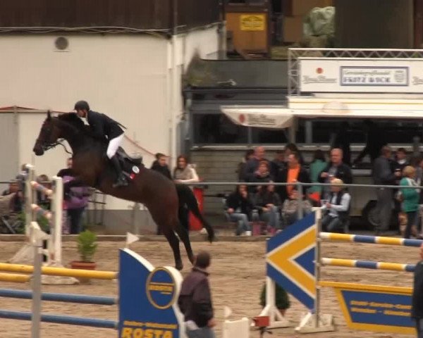 Großes Springturnier Siegener Reitverein 2013