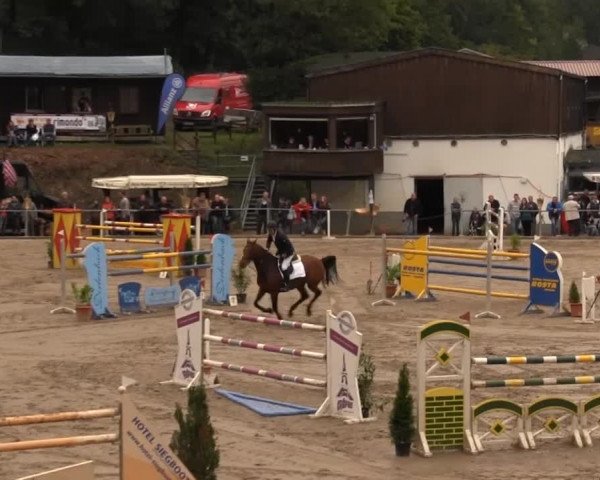Großes Springturnier Siegener Reitverein 2013