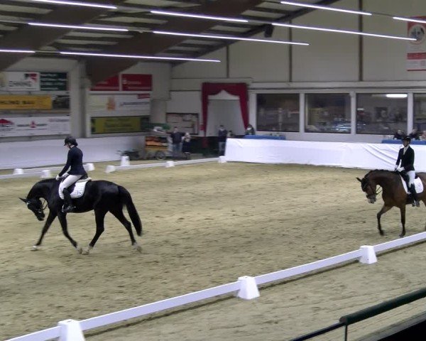 Reitturnier Borken 2025