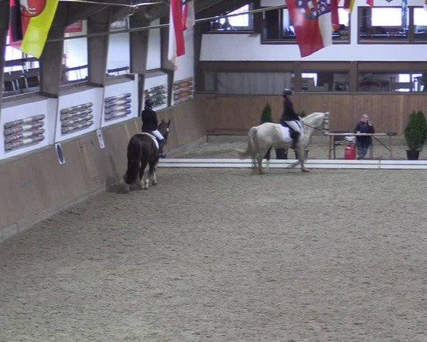 Reitturnier Oelde-Geisterholz 2025