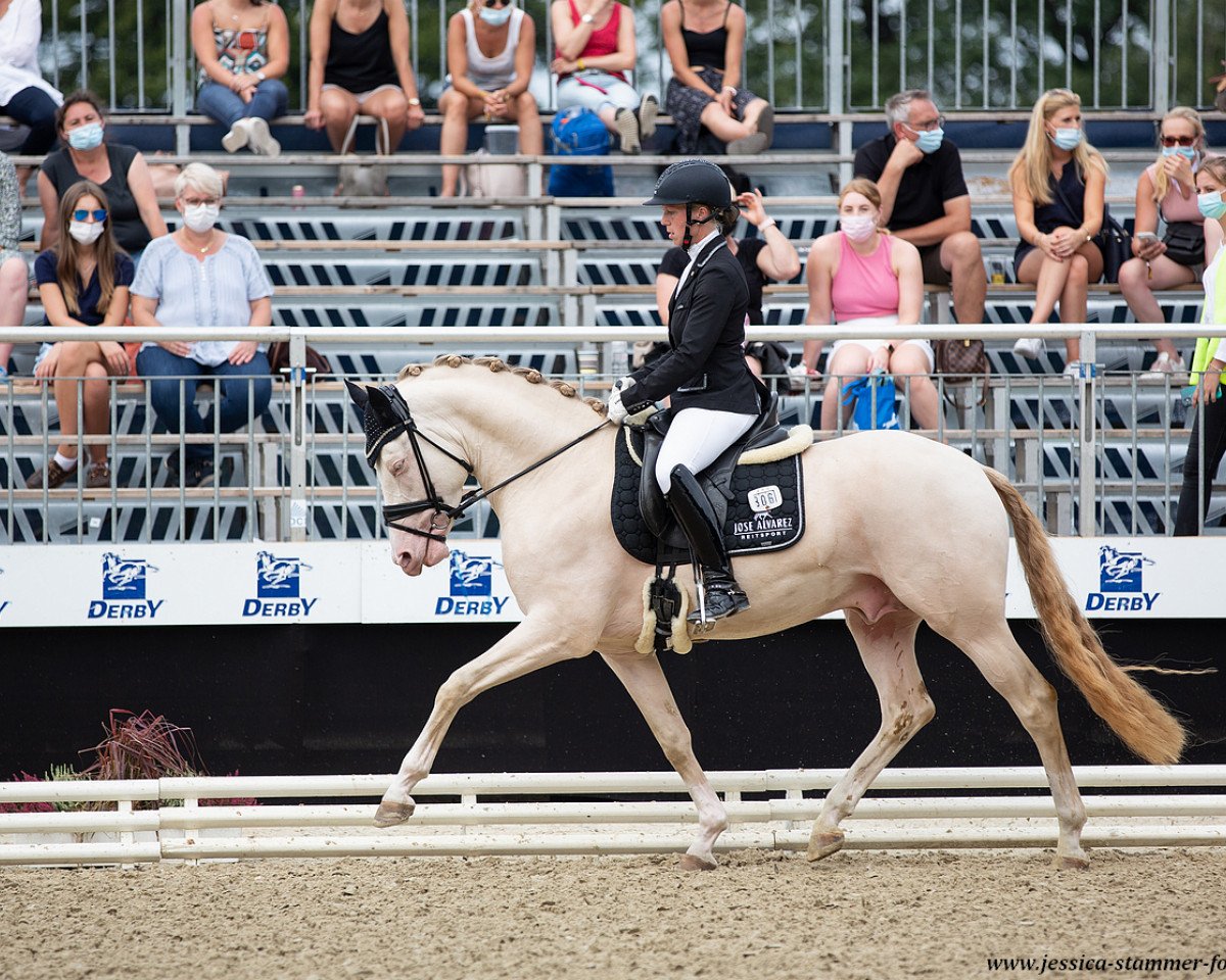 stallion Double Cream (Rhinelander, 2017, from Dance For Me)