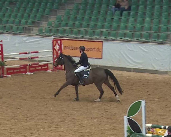 Reitturnier Kreuth 2025