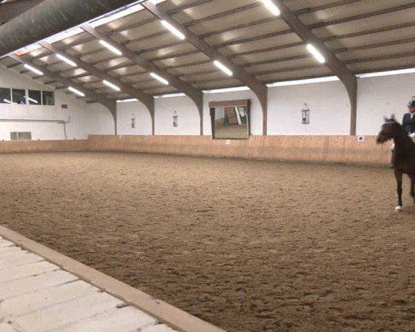 Reitturnier Olfen-Vinnum 2025