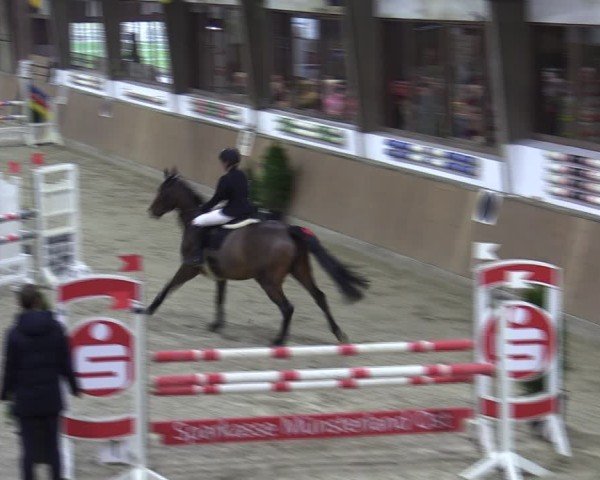 Reitturnier Oelde-Geisterholz 2025