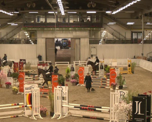 Reitturnier Verden 2025