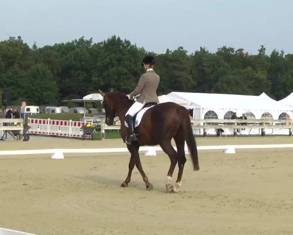 Linkenheim Hochstetten 2013