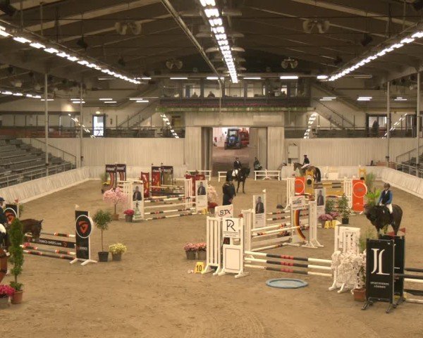Reitturnier Verden 2025