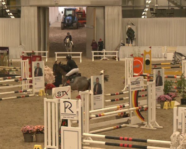 Reitturnier Verden 2025