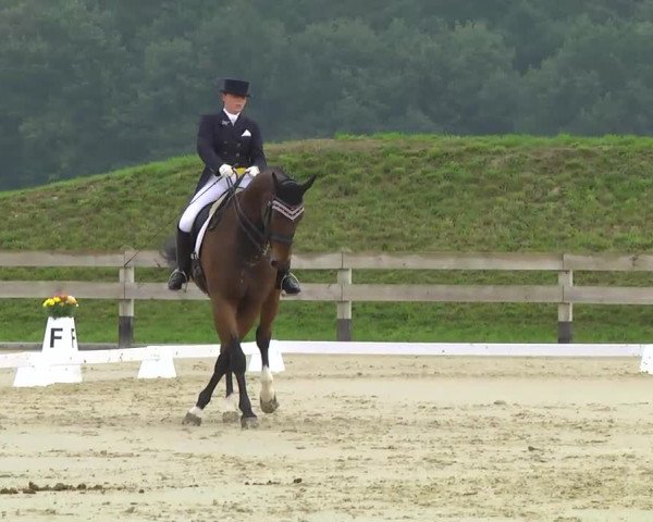Reitturnier Linkenheim-Hochstetten 2013