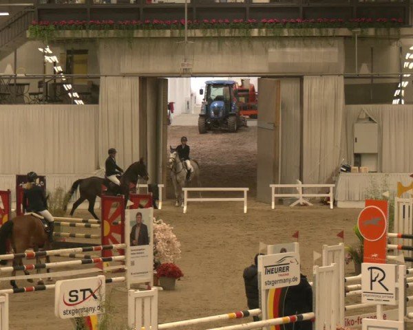 Reitturnier Verden 2025