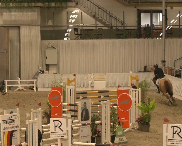 Reitturnier Verden 2025