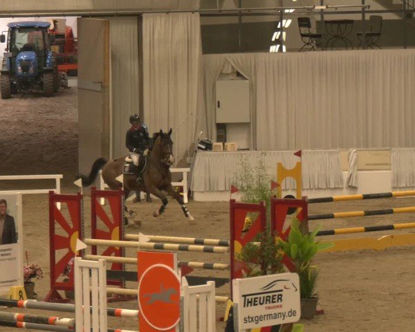 Reitturnier Verden 2025