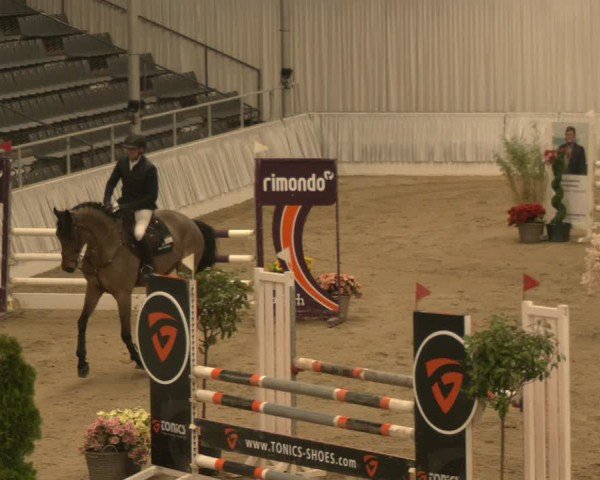 Reitturnier Verden 2025