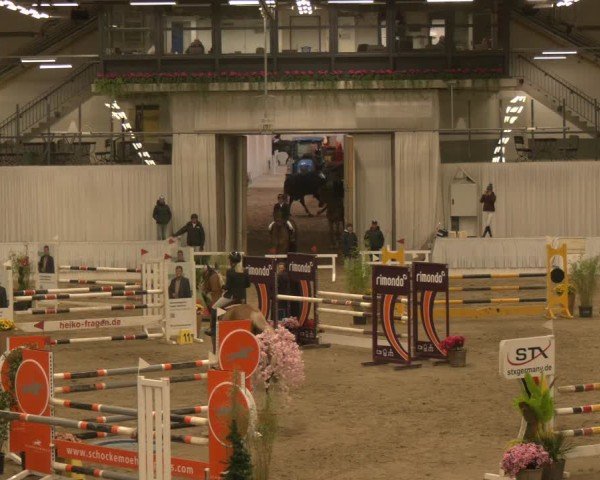 Reitturnier Verden 2025