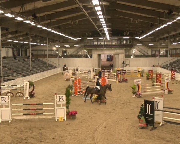 Reitturnier Verden 2025
