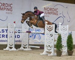 jumper Cryptonit (Hanoverian, 2018, from Casino Grande)