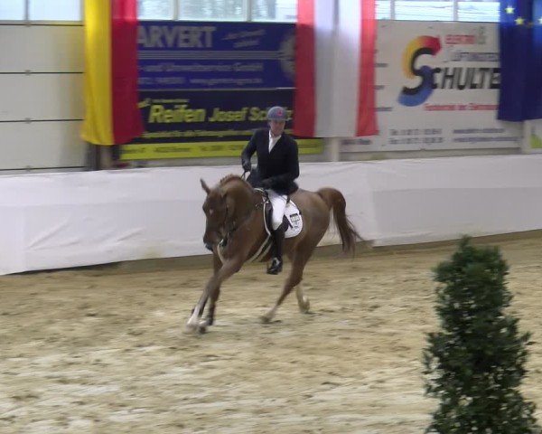 Reitturnier Borken 2025