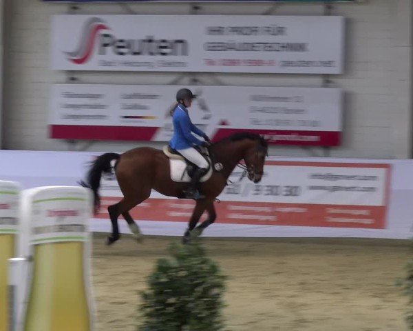 Reitturnier Borken 2025