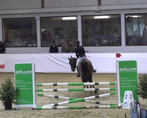 Reitturnier Borken 2025