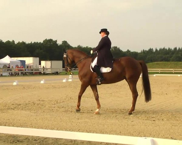 Linkenheim Hochstetten 2013