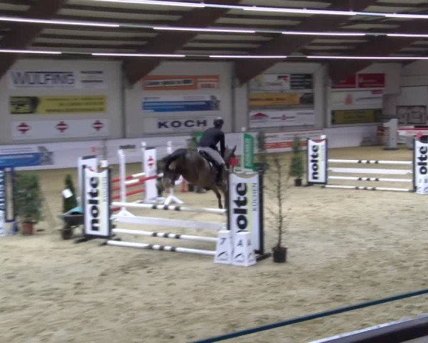 Reitturnier Borken 2025