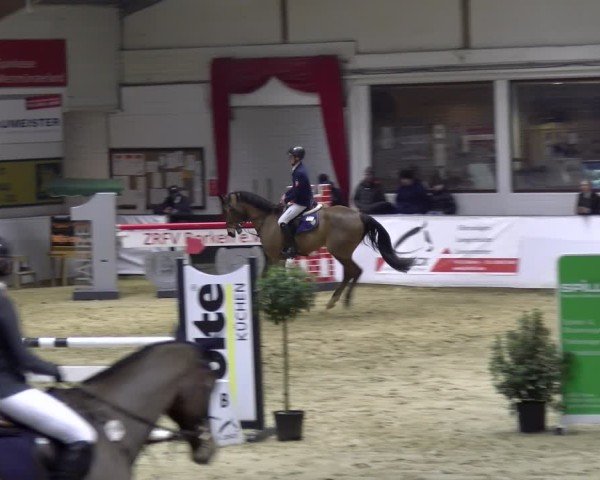 Reitturnier Borken 2025